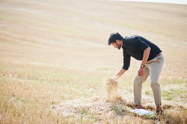 Sul asiático agrônomo agricultor inspecionando fazenda campo de trigo. Agric. — Fotografia de Stock