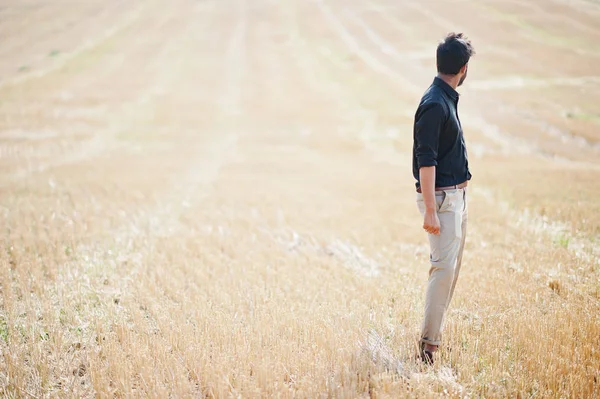 South asian agronomist farmer inspecting wheat field farm. Agric — ストック写真