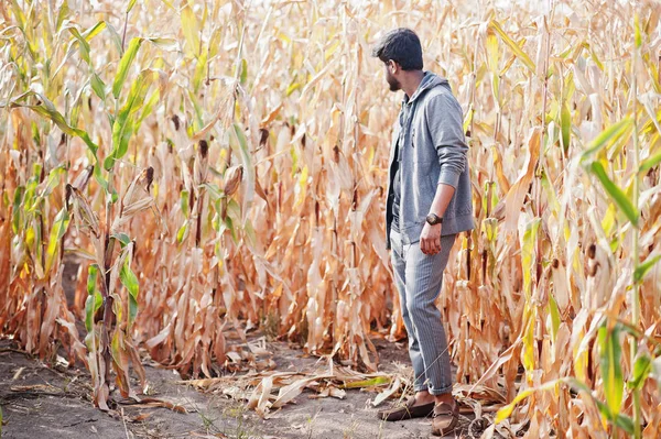 Güney Asyalı tarımcı çiftçi mısır tarlası çiftliğini inceliyor. Agricu — Stok fotoğraf