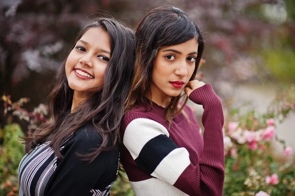 Retrato de dos jóvenes hermosa india o sur asiático adolescente gi — Foto de Stock