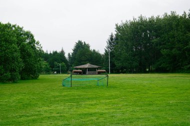 İzlanda 'da bir kale direği ve çevreleyen ağaçların yer aldığı geniş yeşil alan