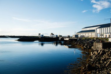 İzlanda 'nın sakin sularını yansıtan deniz kıyısındaki binalarla dolu güzel bir liman..