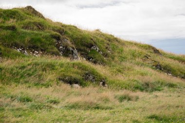 Taşlı yemyeşil tepeler, bulutlu gökyüzü ve İzlanda 'nın manzaralı doğası.