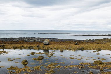 Akranes, İzlanda 'da okyanus, yosun ve kayalık oluşumlarla Idyllic kıyı şeridi manzarası