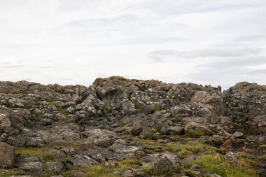 İzlanda 'da bulutlu bir gökyüzünün altında yosun ve çimlerle kaplı kayalık bir arazi.