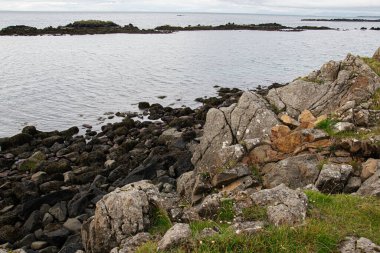 İzlanda 'da bulutlu bir gökyüzünün altında denize bakan kayalık kıyı manzarası.