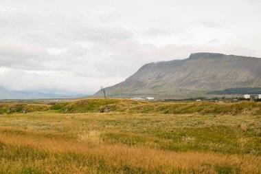 Otlakların olduğu İzlanda manzarası, dramatik bir dağ sırası ve bulutlu bir atmosfer..