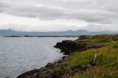 Engebeli İzlanda kıyı şeridi kayalar, çimenlik alanlar ve bulutlar sakin bir manzara yaratıyor.