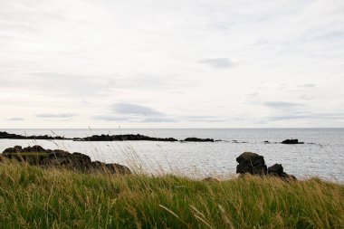 Okyanus dalgaları ve İzlanda 'nın sakin manzarasında uzun otlarla dolu sakin kayalık kıyı şeridi.
