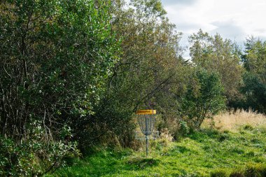 İzlanda 'da güzel bir ormanlık alanda güneşli bir gün diski golf sahası.