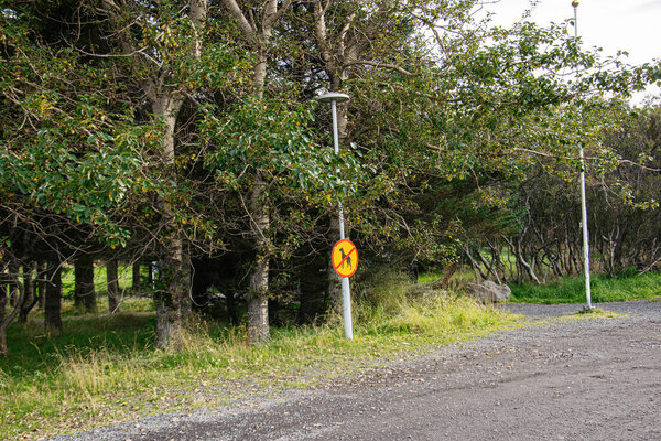 Lush green park with a highlighted pedestrian caution sign in Iceland