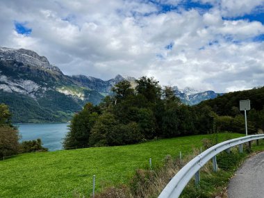 İsviçre dağlarının güzel manzarası, yemyeşil ve bulutlu bir günde dingin bir göl.