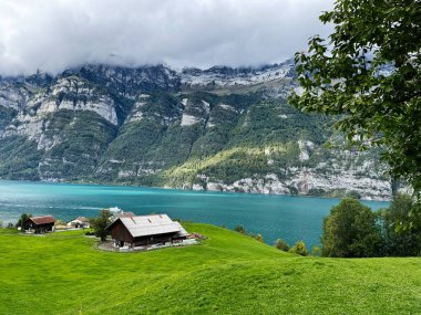Yeşil tarlalar, turkuaz bir göl ve manzaralı dağlarla çevrili İsviçre kulübeleri.