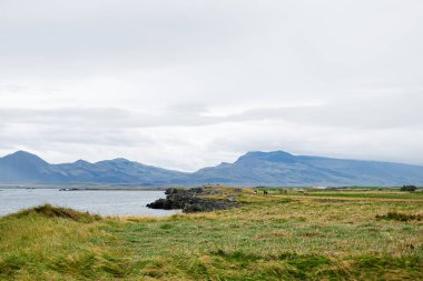 İzlanda 'nın güzel kırsalları bir çim tarlasını, sahil suyunu ve dağ zeminini aydınlatıyor..