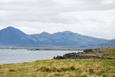Dağlar, kıyı şeridi ve otlakların yer aldığı İzlanda manzarası bulutlu bir gökyüzü altında.
