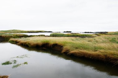İzlanda 'nın sakin sulak arazisi otlakları, suyu ve uzak kıyı şeridini gösteriyor..