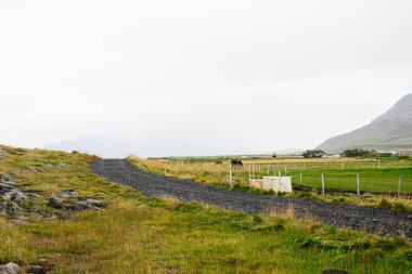 Çakıl yolu İzlanda 'da bulutlu bir gökyüzünün altında yemyeşil tarlalardan geçiyor..