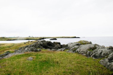 İzlanda 'daki kayalık kıyı manzarası, canlı çimenler ve bulutlu bir gökyüzü.