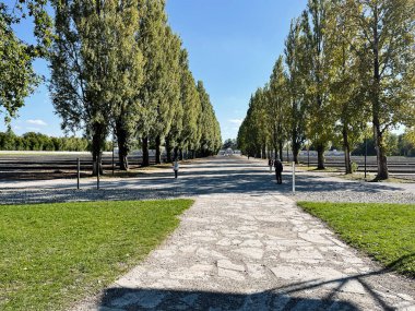 Dachau, Almanya - 29 Eylül 2022: Almanya 'daki Dachau Toplama Kampı' nda açık mavi bir gökyüzü altında ağaçlarla kaplı patika.