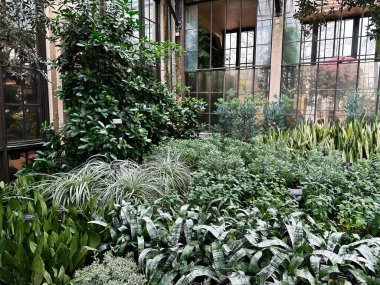 Kennett Meydanı, Pennsylvania, ABD - 15 Nisan 2025: Pensilvanya 'daki Longwood Gardens konservatuarında canlı yeşillik manzarası.