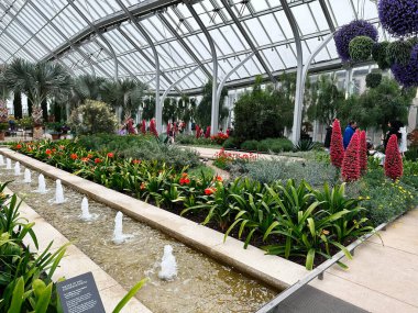 Kennett Meydanı, Pennsylvania, ABD - 15 Nisan 2025: Kennett Meydanı 'ndaki Longwood Gardens konservatuvarında canlı çiçekler ve fıskiyeler yer almaktadır..