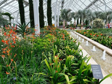 Kennett Meydanı, Pennsylvania, ABD - 15 Nisan 2025: Pensilvanya 'daki Longwood Gardens konservatuarında fıskiyeli güzel bitki sergileri