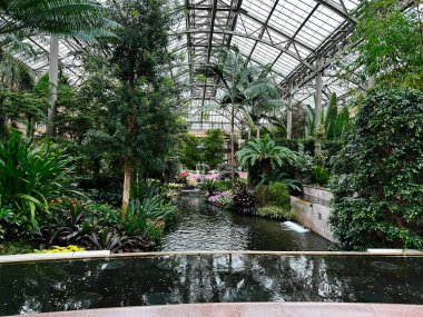 Kennett Meydanı, Pennsylvania, ABD - 15 Nisan 2025: Yeşillik ve Longwood Gardens konservatuarındaki fıskiyeleri ön plana çıkaran kapalı bahçe manzarası.