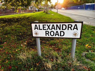 Manchester 'da yeşil bir köşenin yanındaki günışığı Alexandra Yolu tabelası şehir sakinliğini ve günlük sokak hayatını yansıtıyor.