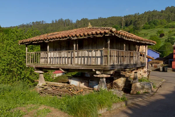 Die Asturische Kornkammer Eine Auf Säulen Erbaute Holzscheune Die Sie — Stockfoto