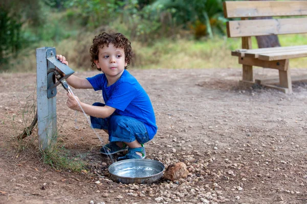 Παιδί Που Ανοίγει Ένα Σιντριβάνι Για Ζώα Στο Πάρκο Που — Φωτογραφία Αρχείου