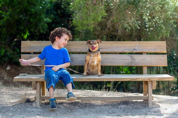 Chien Enfant Assis Sur Banc Bois Dans Parc Enfant Regarde — Photo