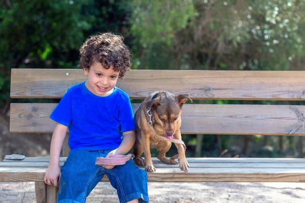 Chien Enfant Assis Sur Banc Bois Dans Parc Regardant Vers — Photo