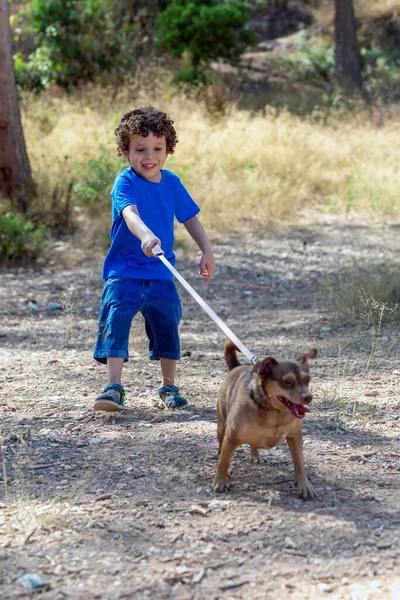 Enfant Avec Son Petit Chien Marchant Laisse Dans Parc Naturel — Photo