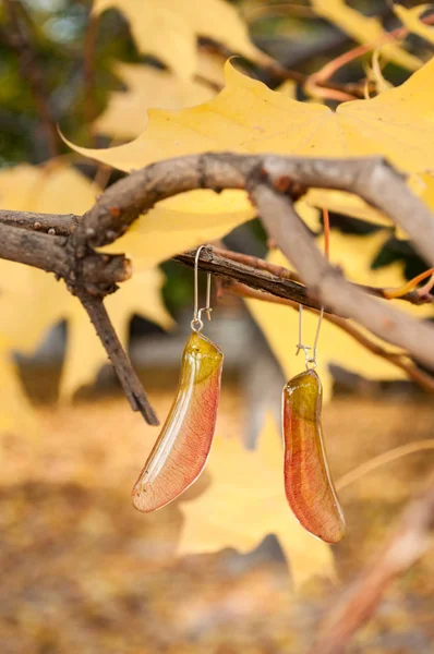 handmade epoxy resin jewelry. maple seeds earrings. natural habitat. autumn.