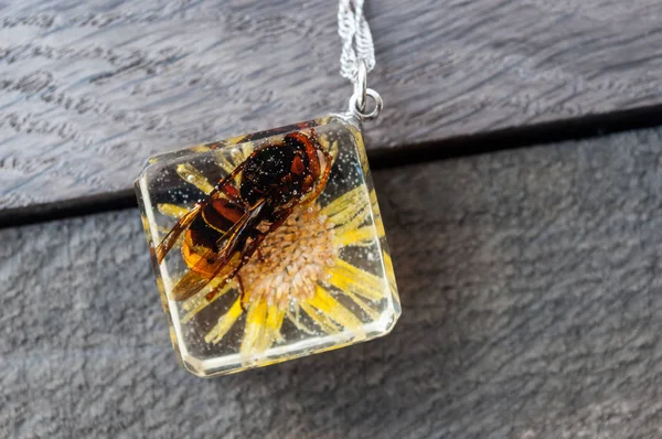 handmade epoxy resin jewelry. hornet in glass, pendant.