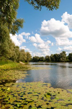 Peyzaj: nehir, ağaçlar, bulutlar ile gökyüzü.