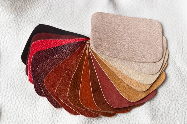 Fond Coloré Pièces Multicolores Cuir Véritable Différentes Textures Échantillons Couleur Images De Stock Libres De Droits