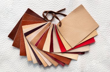 Farklı dokulardan hakiki deri parçalarının renkli arkaplanı, seçim için renk örnekleri