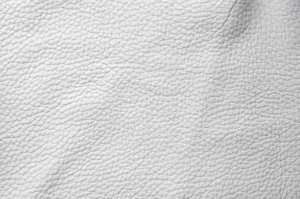 Cuir Blanc Texture Fond — Photo