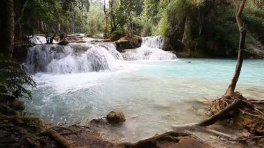 Kuang Si Şelalesi, Luang Prabang, Laos