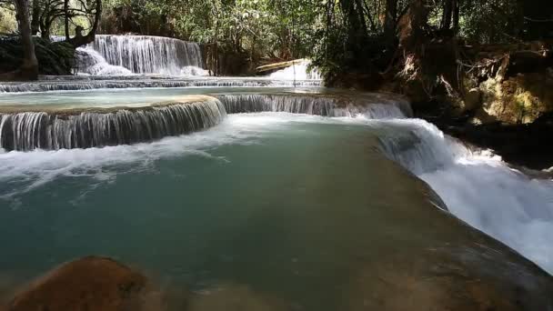 Tad Kuang Si Waterfall - luogo interessante a Luang Prabang, Laos — Video Stock