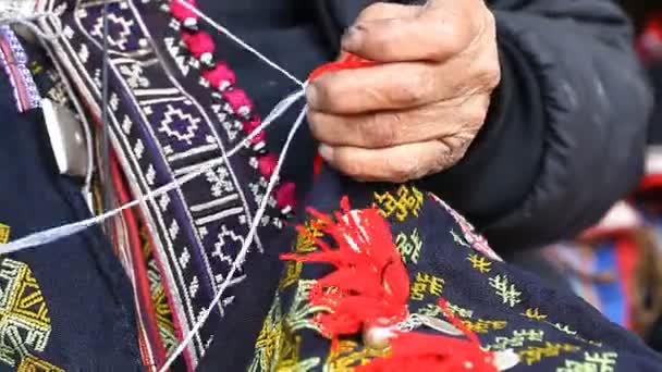 Hmong grupy etnicznej na północy Wietnamu — Wideo stockowe