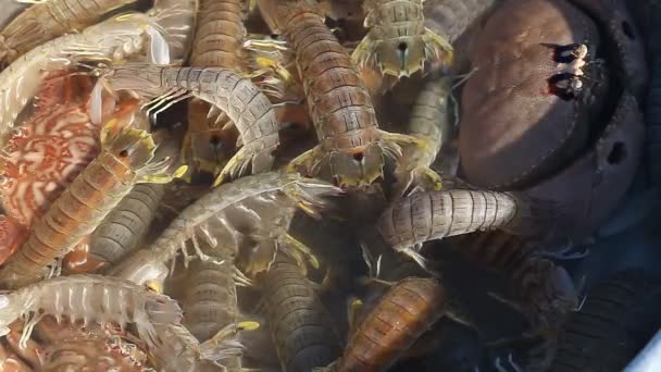 Scolopendra в азиатской кухне — стоковое видео