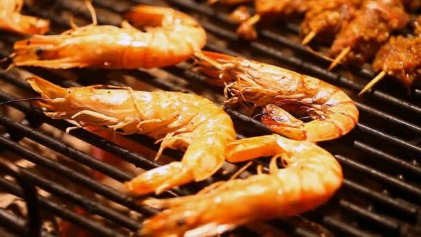 Grandes crevettes cuites sur un barbecue — Video