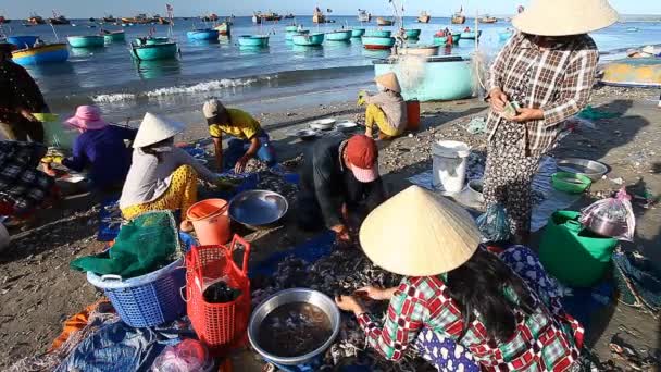 Муй Не, Вьетнам-январь 06,2017: Каждый день, рано утром, когда рыбаки возвращаются с уловом, люди сортируют и готовят свежие морепродукты для продажи . — стоковое видео