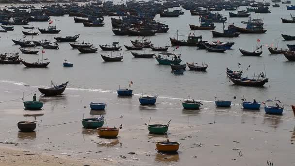 Turistinformation Vietnam. Fiskeby i Mui Ne — Stockvideo