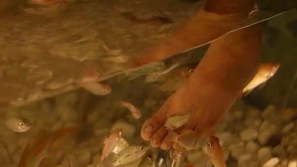 Foot peeling fish close-up — Stock Video