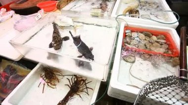 Taze deniz ürünleri pazarda Hong Kong