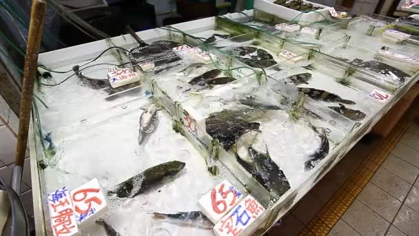 Mercado de frutos do mar frescos em Hong Kong — Vídeo de Stock