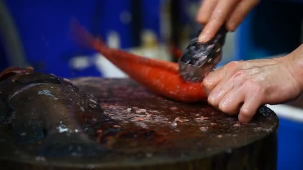 Mercado de mariscos frescos en Hong Kong — Vídeo de stock